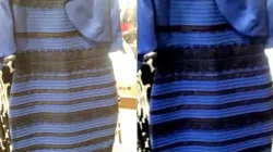 Millions join debate over the colour of the viral dress, 'White and Gold or Blue and Black?' 