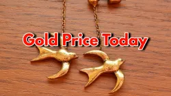 gold price today