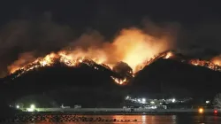 Japan wildfires