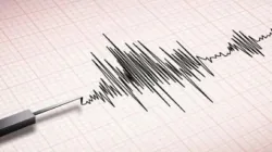 Earthquake of 6.9 magnitude hits Papua New Guinea (Representative Image) Earthquake of 6.9 magnitude hits Papua New Guinea (Representative Image)