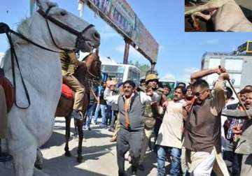 BJP MLA breaks horse's leg