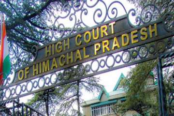 himachal hc