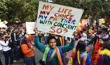 Section 377: SC reserves verdict on pleas challenging constitutional validity of laws against homose