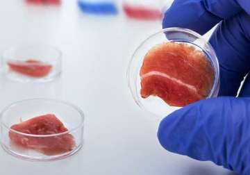 Indian-American scientist develops meat in laboratory