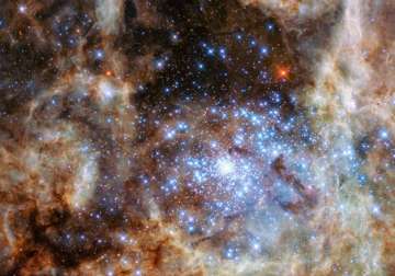 Group of stars 100 times larger than Sun