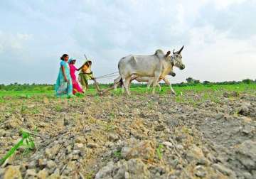 Farmer suicides averaged 9 a day in parched Maharashtra