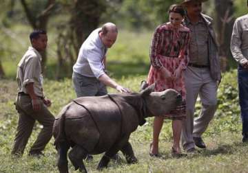 Rhino killed in Kaziranga in British royals' presence