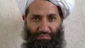 New leader of Taliban fighters