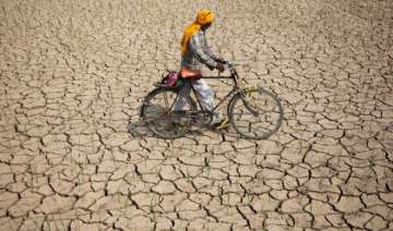 Drought in Maharashtra