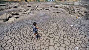 Drought hit Maharashtra