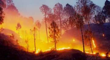 Forest fire ,Uttarakhand