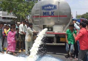 Dairy farmers in Odisha’s Bargarh spill 26,000 liter milk as a protest tactic