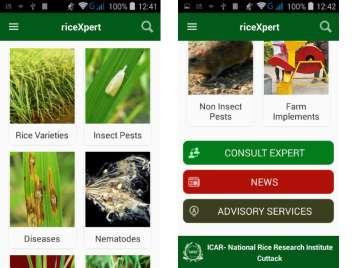 riceXpert app 