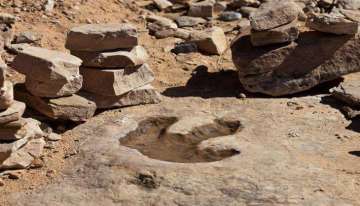 Geologists discover 150-million-year old dinosaur footprints in Rajasthan