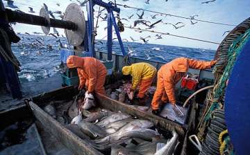 Fishermen in the sea