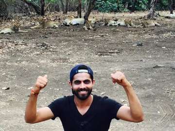 Ravindra Jadeja clicks a photograph standing just 12-13 feet away from lions.  