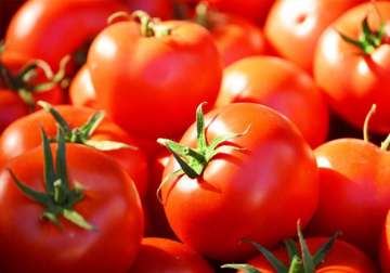 Tomato prices to remain high for next two months