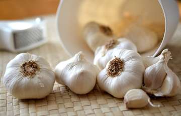 This is how aroma of garlic can come from breast milk