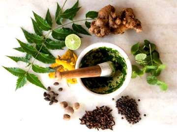 Indian herbs