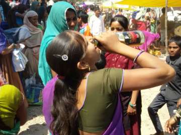 ‘Mahua’ and ‘taddi’ passe, beer is the new high for MP tribals 