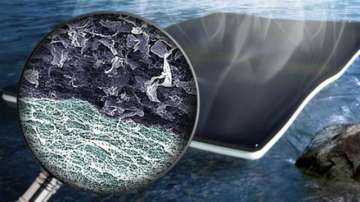Scientists develop new material that turns dirty water drinkable