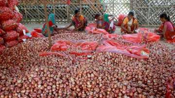 Onions in Madhya Pradesh