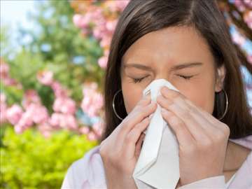 Seasonal allergies may affect your memory, claims study