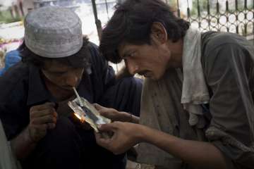 Opium users in Pakistan