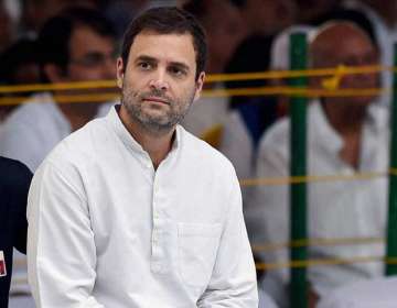 Congress vice president Rahul Gandhi