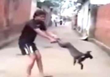 Video of man spinning dog goes viral on social media