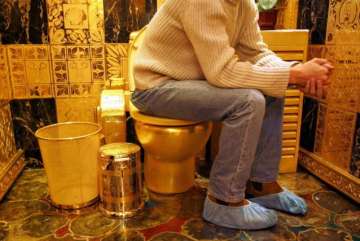 Functional gold toilet 