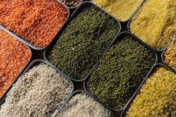 India seeks support from BRICS for pulses, oilseeds | India TV