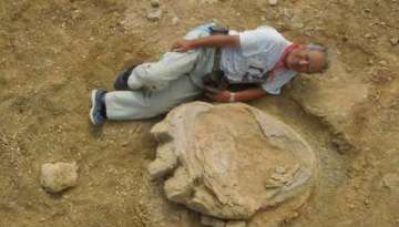 dinosaur footprint in Mangolia