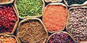 Centre proposes check to prices of essential food items