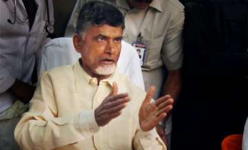 Chandrababu Naidu, Andhra Pradesh, opposition