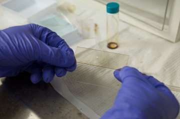  environment-friendly plastic solar cells using food addictive