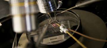 transistor, world's smallest, researchers 