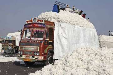 Pakistan suspends cotton import from India