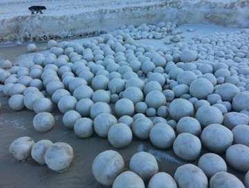 Strange giant snowballs appear on beach In Siberia