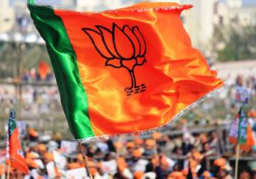 A BJP workers waves party flag at a rally 