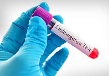 US scientists develop world's first chikungunya vaccine 