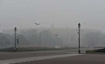 Christmas day becomes Delhi's coldest December day in five years