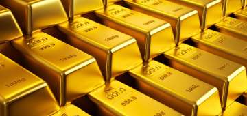 Indians, physical assets, gold, Wealth report