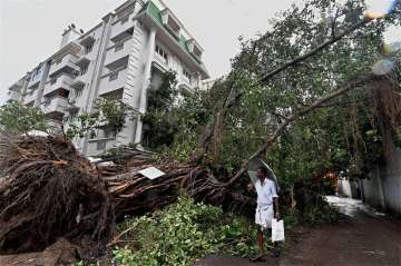 Cyclone Vardah, Tamil Nadu, O Panneerselvam