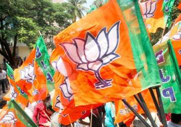 File pic - A BJP worker waves party flag during a rally
