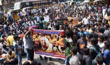 Amid widespread protests, SC agrees to delay Jallikattu verdict for a week