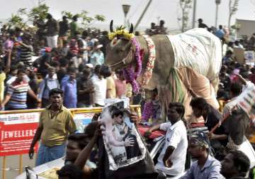 Youngsters and students participate in a protest to lift the ban on Jallikattu