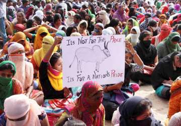 People protesting against ban on Jallikattu in Chennai