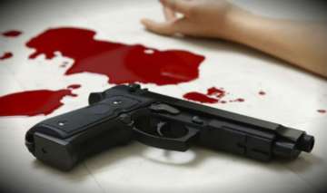 Ghaziabad: Jalebi seller shoots down neighbour couple after fight over mattress 