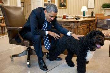 President, Barack Obama, White House, Dog Biting